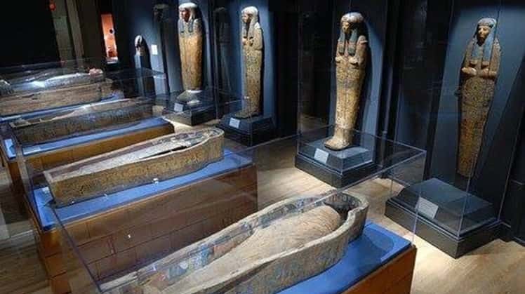 Hall of Mummies in the Egyptian Museum in Cairo | The Royal Mummies Hall